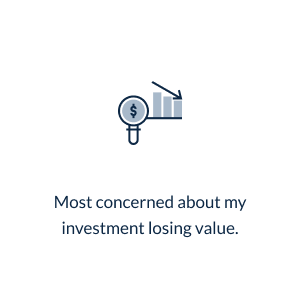 Most concerned about my investment losing value  *  conservative
